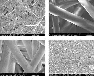 Fibers.webp